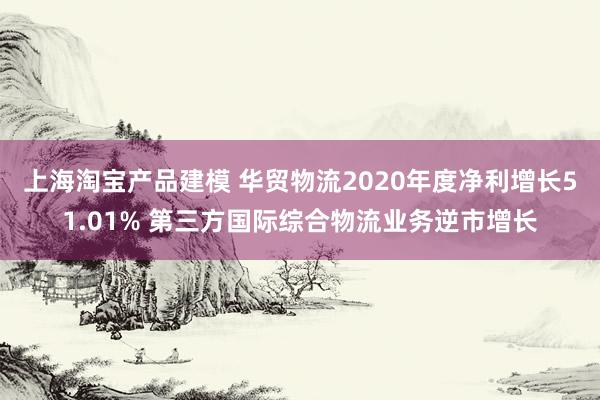 上海淘宝产品建模 华贸物流2020年度净利增长51.01% 第三方国际综合物流业务逆市增长