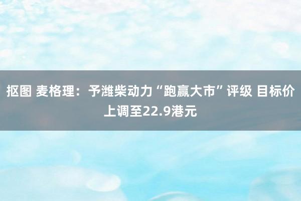 抠图 麦格理：予潍柴动力“跑赢大市”评级 目标价上调至22.9港元