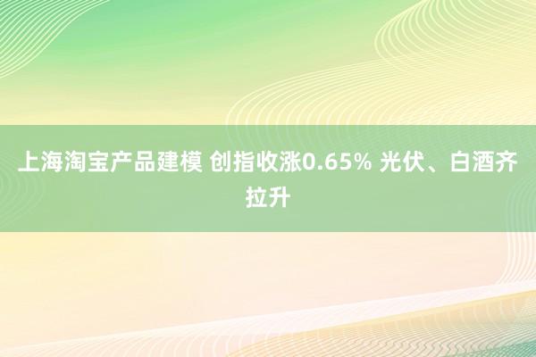 上海淘宝产品建模 创指收涨0.65% 光伏、白酒齐拉升