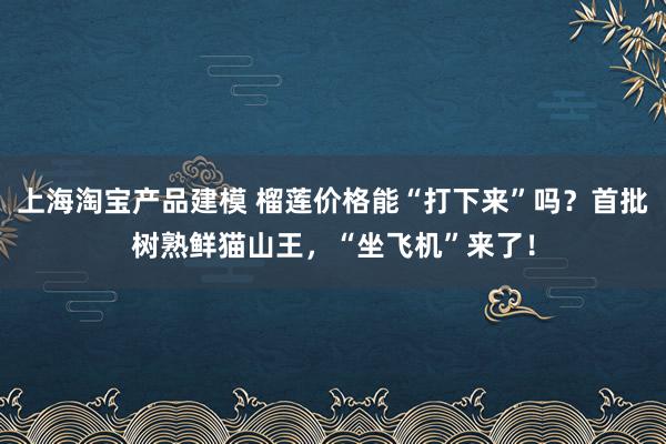 上海淘宝产品建模 榴莲价格能“打下来”吗？首批树熟鲜猫山王，“坐飞机”来了！