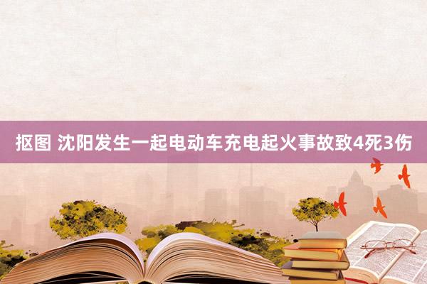 抠图 沈阳发生一起电动车充电起火事故致4死3伤